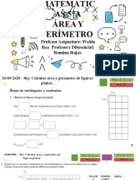 Area y Perimetro Ejercicios 5to