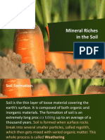 Minerals Presentation Fixed