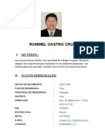 ROMMEL-CASTRO-CRUZ_CV-2020.docx
