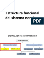 Clase 1 - Neurobiologia 2019