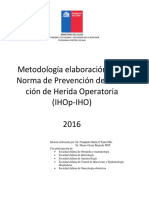 Metodologia Elaboración Documento Prevención IHOp PDF