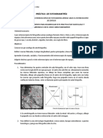 Practica Montaje Modelo Bajo El Estereoscopio 2020-2 PDF