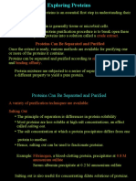 Crude Extract: Proteins Can Be Separated and Purified