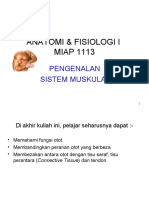 Anatomi & Fisiologi I