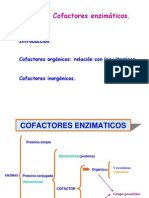 Cofactores Enzimaticos y Vitaminas