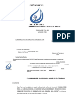 Plan Anual de Seguridad Consorcio Bellavista Sedapal Callao PDF