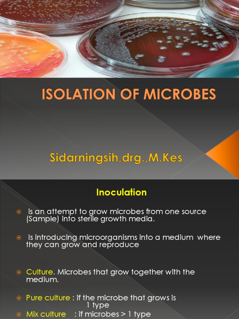 Microbial Isolation and Inoculation Techniques | PDF | Growth Medium ...