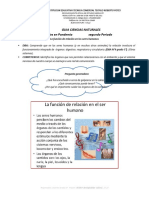 Funcion de Ralacion y Sistema Endocrino PDF