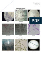 9 Prokaryotes