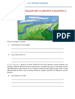 Recursos Naturales de La Región Amazonica Tema8 6to