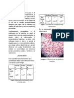 Metodos y Resultados, Discusión Lab Bio4