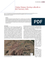 Das 2015_Skimmer_Chambal.pdf