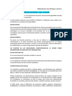 Fisiopatologia Del Dolor y Fiebre PDF