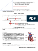 Guia 4 - Ciencias Naturales - 2P - 5