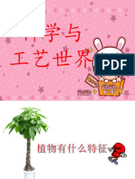 叶脉 PDF