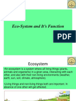 EVS-Unit-1 Ecosystem