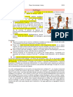 Anatomía del esófago y sus estrechamientos