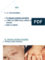 Cornea PDF