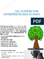 U4 Financial Support For Entrepreneures in India PDF