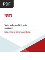 Veritas Netbackup 8.0 Blueprint Accelerator