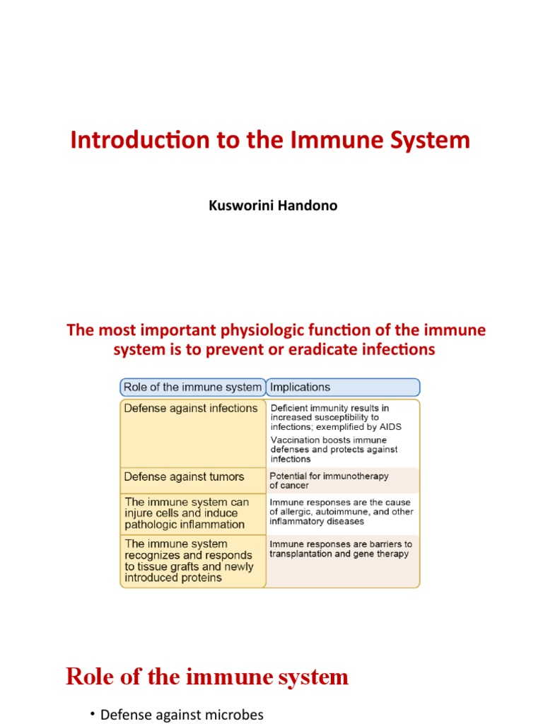 Introduction Immune System S2 DD 2020 | PDF | Major Histocompatibility ...