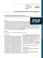 Analisis de Glicosaminoglicanos