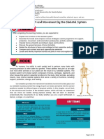 Learning Module 1 (Skeletal System)