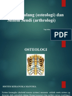 PP 2 Sistem Tulang Dan Sistem Sendi