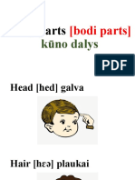 Lithuanian Body Parts Vocabulary