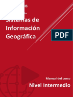 ARCGIS Nivel Intermedio - Manual PDF