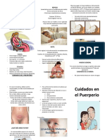 Triptico Cuidados Del Puerperio