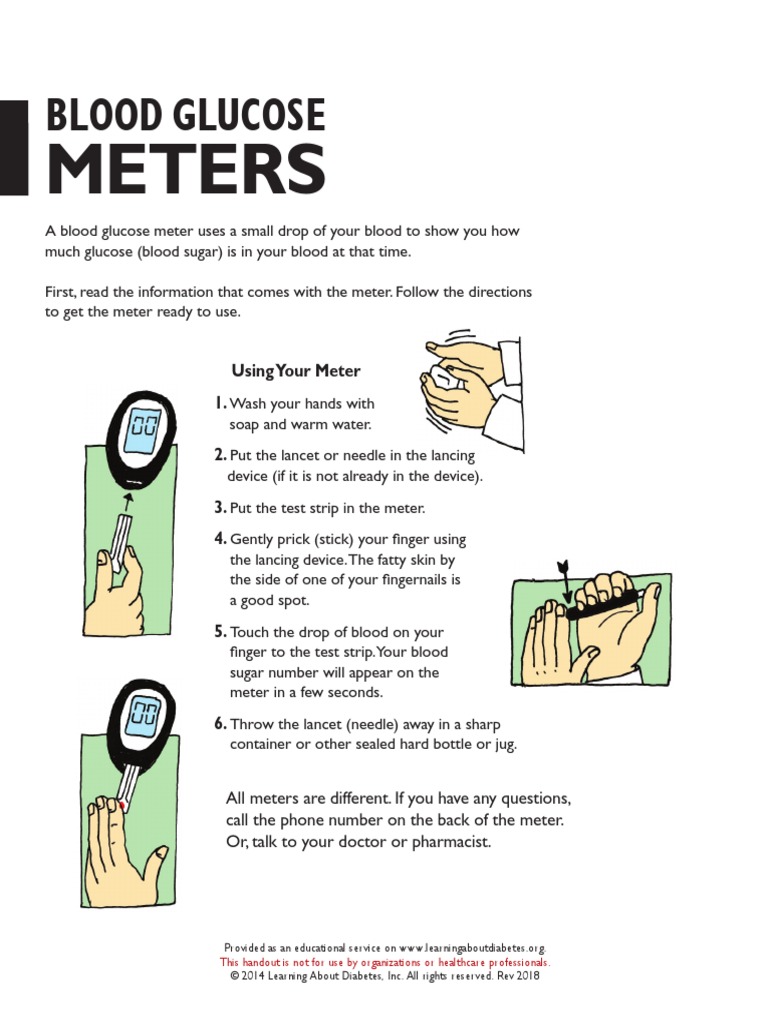 BloodGlucosMetters ENGLISH | PDF | Wellness