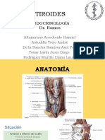 Anatomía y función de la glándula tiroides