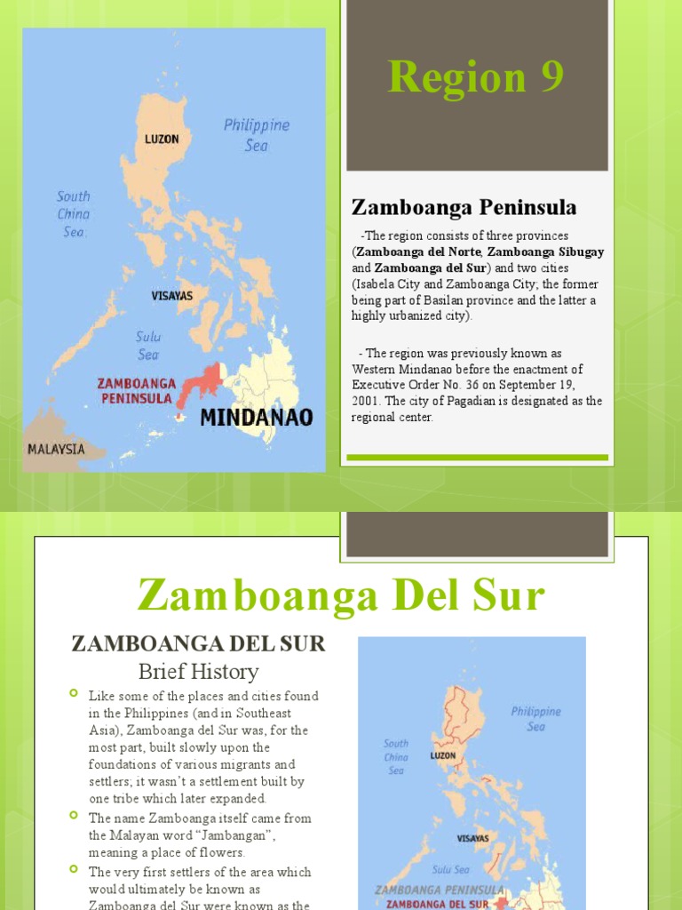 Region 9: Zamboanga Peninsula | PDF | Foods