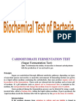 Biochemical Test of Bacteria