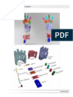 Imagenes PDF Prothestic Hand PDF