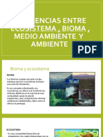 Diferencias Entre Ecosistema, Bioma, Medio Ambiente