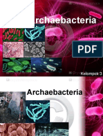 Archaebacteria Dan Cyanobacteria