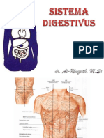 1.3 1.5 1.6 Anatomi Digestivus