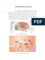 Mekanisme Neurologis Bicara