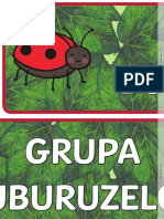 Grupa Buburuzelor - Banner 3xa4 PDF