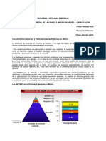 GUIA IMPORTANTEcaracterizacion_gral_pymes.pdf