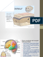 BEDAH SUBDURAL HEMATOM-1t