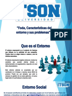 Entornos 3.1 PDF