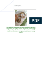 Aforismos de Brenifier (2).docx
