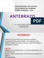 Anatomia Reg Antebraquial UNU2020