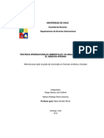 De-Lillo D PDF