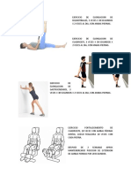 EJERCICIO FX Rotula