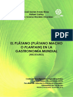 El Platano Platano Macho o Plantain en L PDF