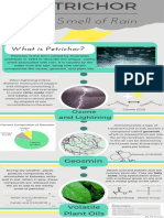 Infografía Sobre El Petricor.